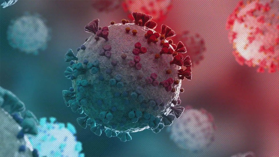 اكتشاف متحوّر جديد من فيروس كورونا في فرنسا