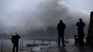 ألمانيا: مقتل شخص وإصابة آخرين جراء عاصفة