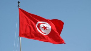 انتخاب تونس عضوا في مجلس السلم والأمن الافريقي