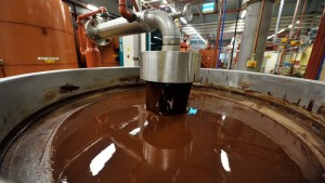 عملاق صناعة الشوكولا في العالم يغلق أحد مصانعه بسبب ''السالمونيلا''