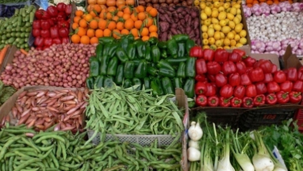 تنفيذ برنامج مراقبة لبعض وكلاء البيع بأسواق الجملة وتجار التفصيل للخضر والغلال