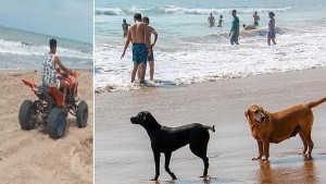 نابل: الحيوانات، الدراجات النارية والسيارات رباعية الدفع ممنوعة في الشواطئ