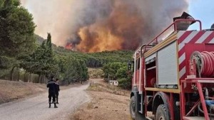 الخبير البيئي حمدي حشاد : باعثون عقاريون ورجال أعمال وراء نشوب الحرائق في تونس