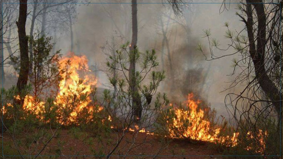 السيطرة على حريق جبل برقو نهائيا