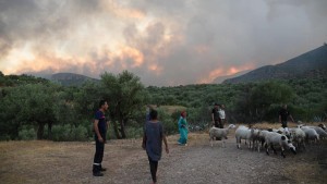 برقو: السيطرة على حريق اندلع بجبل مزاتة