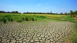 بريطانيا تعلن حالة الجفاف في أجزاء من المملكة
