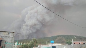 الجزائر : 26 قتيلا في حصيلة أولية لضحايا الحرائق
