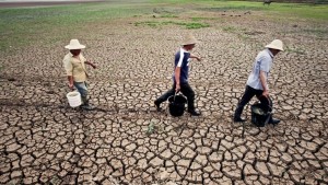 أسوأ موجة جفاف تضرب نصف أراضي الصين
