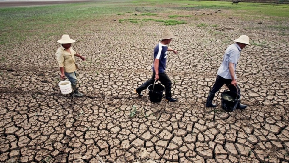 أسوأ موجة جفاف تضرب نصف أراضي الصين