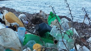 وزارة البيئة : فيفري 2023 استكمال استراتيجية الشريط الساحلي دون بلاستيك بالمنستير
