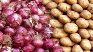 تحديد آجال تخزين البطاطا المعدة للاستهلاك والبصل الجاف
