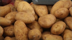 المهدية: حجز 8 أطنان من البطاطا