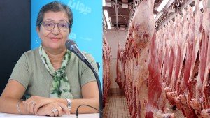 القرافي: 12 كيلوغراما من اللحوم لكل عون بالرئاسة