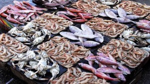 ميزان التجارة الخارجية للصيد البحري يحقق فائضا بنسبة 18.5 بالمائة