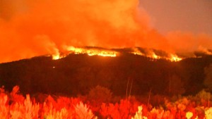 رئيس دائرة الغابات بطبرقة: حريق جبل الوراهنية اندلع بفعل فاعل
