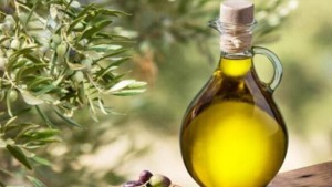 كمال القرقوري: لا بد من تسويق  الزيت البيولوجي المحلي الذي يحمل هوية تونس
