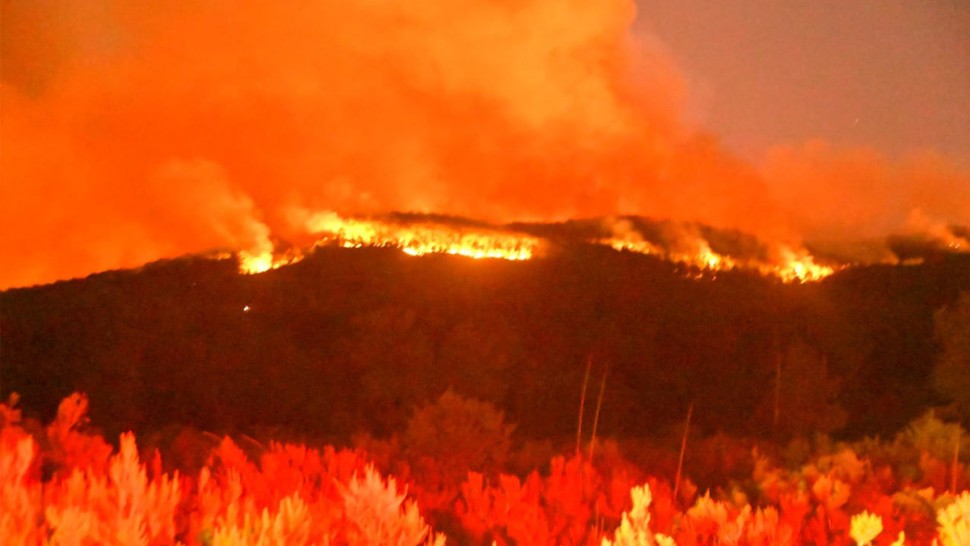رئيس دائرة الغابات بطبرقة: حريق جبل الوراهنية اندلع بفعل فاعل
