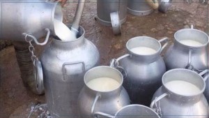 امام البرقوقي:  "قرار الزيادة في سعر الحليب يجب ان يصدر عن السلطة"