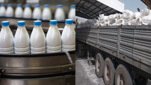 بنزرت: توزيع 176 ألف لترا من الحليب و 114 طنا من السكّر