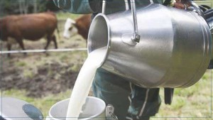 اتحاد الفلاحين : انتهاء المخزون الإستراتيجي من مادة الحليب