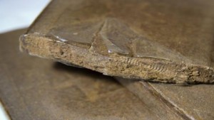 سليانة :  ايقاف حارس مؤسسة تربوية من أجل ترويج المخدرات بين التلاميذ