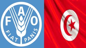 منظمة الأغذية والزراعة: انطلاق المرحلة الثانية من مشروع دعم التمكين الاقتصادي للمراة الريفية في تونس