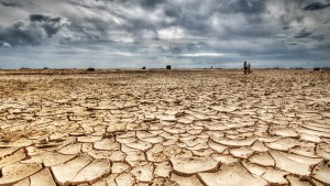 الرابحي يدعو للإعلان الرسمي عن حالة الجفاف بالبلاد