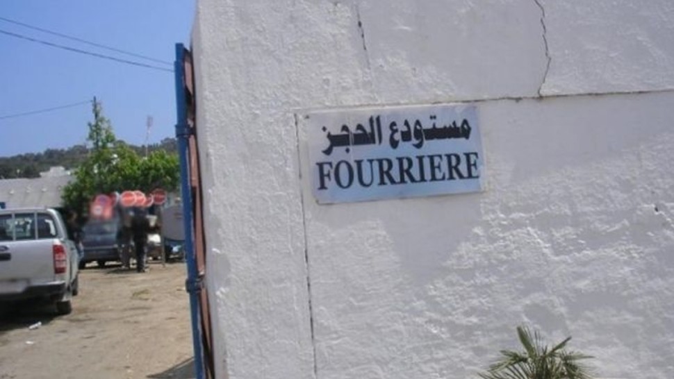مستودع بلدي