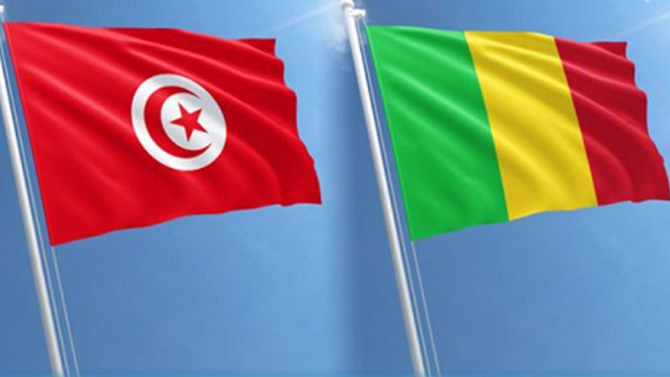 وزارة الخارجية المالية تدعو مواطنيها في تونس إلى توخي الحذر