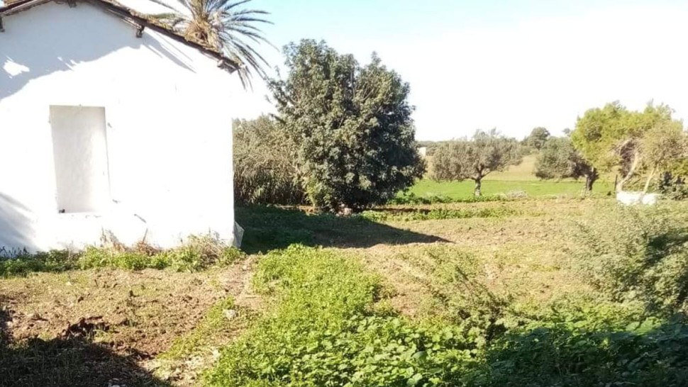 الدولة تسترجع عقارا دوليا فلاحيا بصفاقس