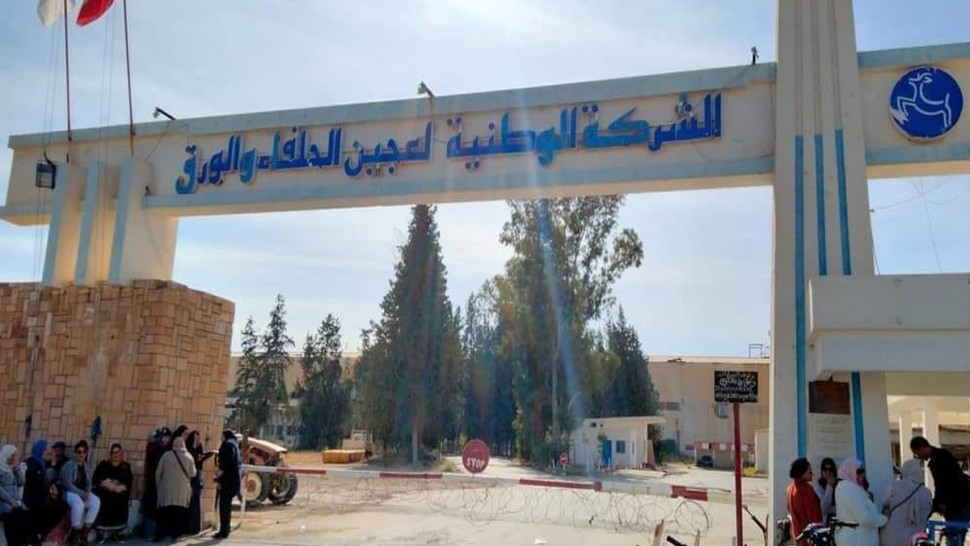 القصرين: عمال الشركة الوطنية لعجين الحلفاء و الورق يحتجون