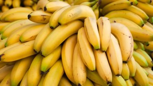 الشركة التونسية لأسواق الجملة تحذر تجار الغلال المورّدة