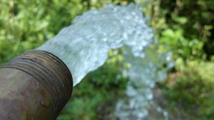 مدنين: تجارب ناجحة لاستغلال المياه المعالجة في الري الفلاحي