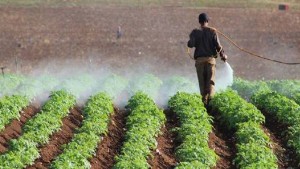 تحقيق: أوروبا تواصل تصدير مبيدات حشرية محظورة على اراضيها نحو تونس وبلدان أخرى
