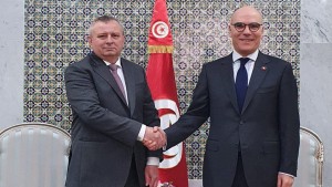 الدورة القادمة للجنة الاقتصادية المشتركة محور لقاء وزير الخارجية بسفير المجر