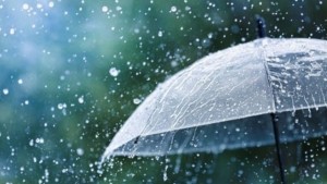 نسبة كميات الأمطار خلال فيفري تمثّل 91 بالمائة من مجموع الأمطار الشهري المرجعي