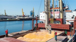تونس تشتري نحو 100 ألف طن من القمح و75 ألف طن الشعير