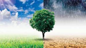 تونس تحتاج إلى تعبئة 24.4 مليار دولار لمجابهة تحديات التغيرات المناخية