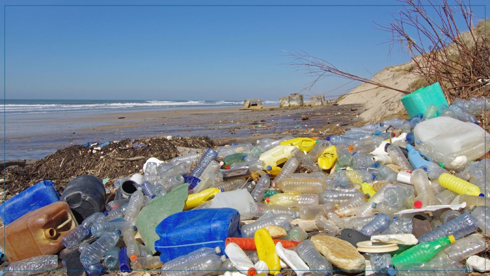 وزيرة البيئة: إلقاء حوالي 5,6 كلغ من البلاستيك في الكلم الواحد من الشواطئ