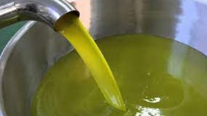 عائدات صادرات زيت الزيتون ترتفع بـ 36،9 بالمائة مع موفى ماي الفارط