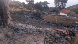 حريق غابات ملولة: اجلاء 4 عائلات من منازلهم