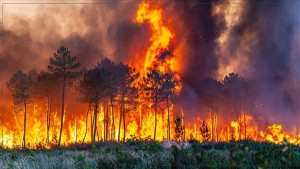 حرائق الغابات في اليونان تخرج عن السيطرة وتصل إلى أثينا