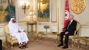 تشجيع الاستثمارات الإماراتية في تونس في لقاء رئيس الجمهورية بالشيخ شخبوط بن نهيان