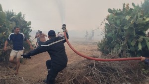 جندوبة : اجلاء 15 عائلة مع توسّع  رقعة حريق فرنانة