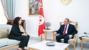 الحشاني يلتقي وزيرة الشؤون الثقافية