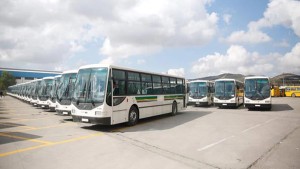 سليانة: تخصيص 61 حافلة للنقل المدرسي