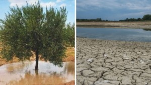 خبير في الموارد المائية: تونس تعيش مظاهرا قصووية لتغير المناخ والأمطار في سبتمبر لم تتجاوز 35.5 مليمتر