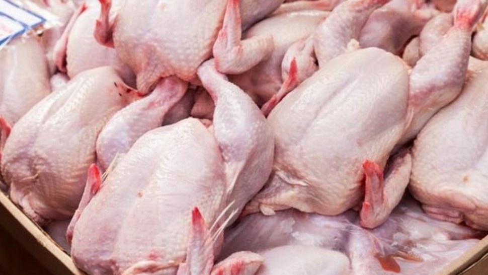 ارتفاع انتاج دجاج اللحم في تونس مع موفى نوفمبر