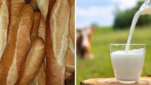 مدير التجارة بنابل: انفراج في مادة الحليب مع بداية شهر فيفري وقريبا توزيع الخبز المدعم الجديد