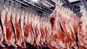 وزيرة التجارة: سيتم توريد كميات من اللحوم الحمراء قبل حلول شهر رمضان